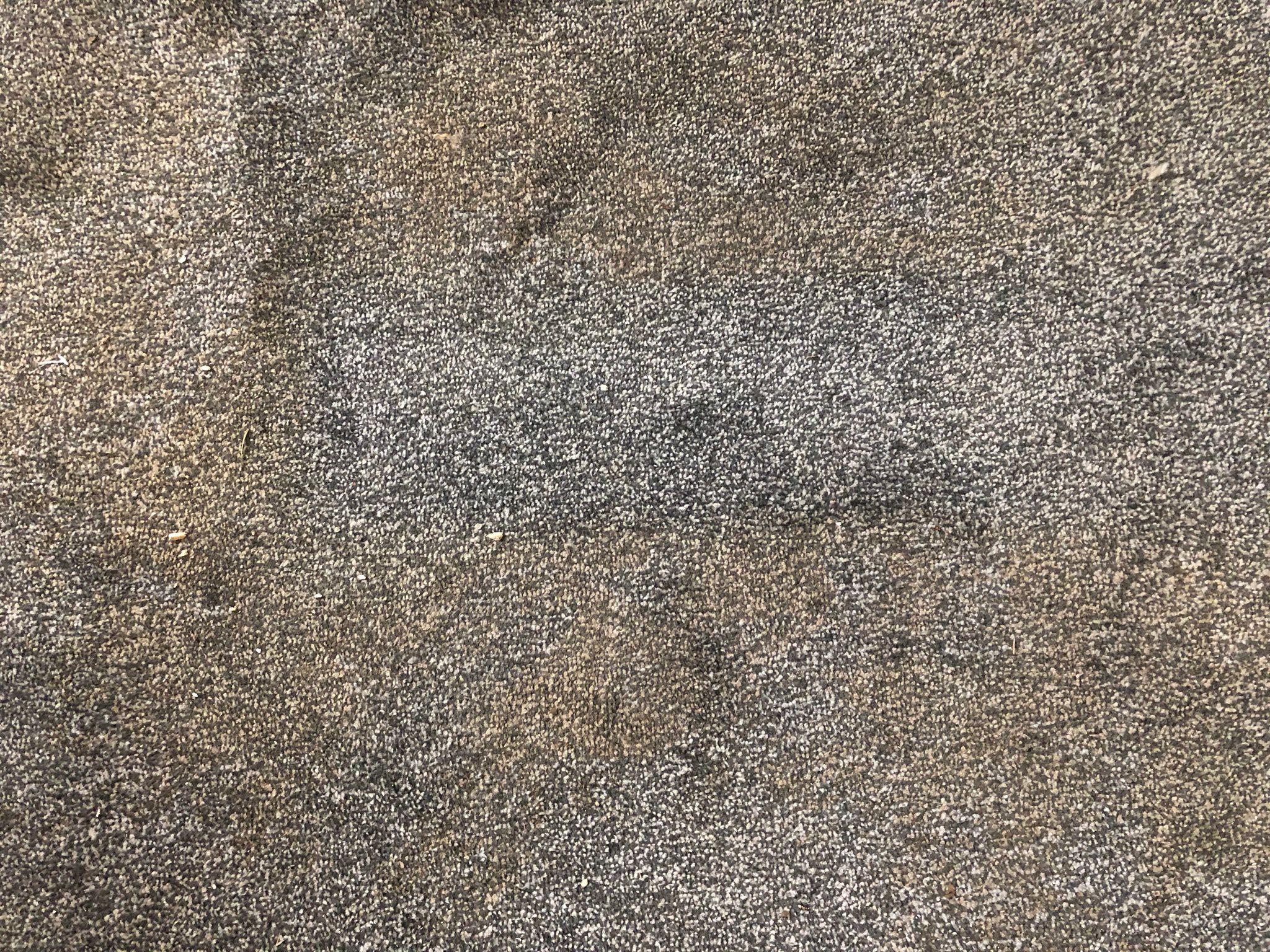 A Beacon Hill Cleaners project