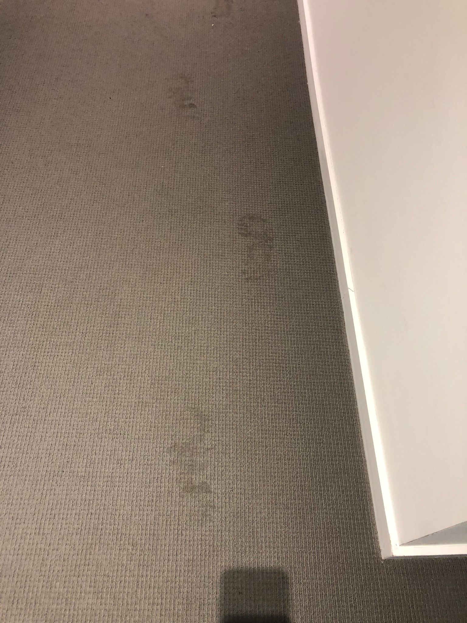 A Beacon Hill Cleaners project